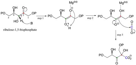 13.5: Carboxylation and decarboxylation reactions - Chemistry LibreTexts