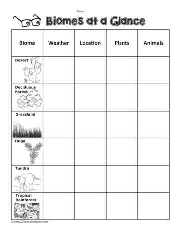 Biomes Graphic Organizer Worksheets - FerisGraphics