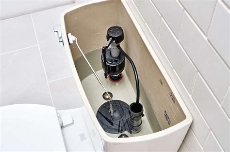 6 Different Toilet Flush Valve Types and How to Choose