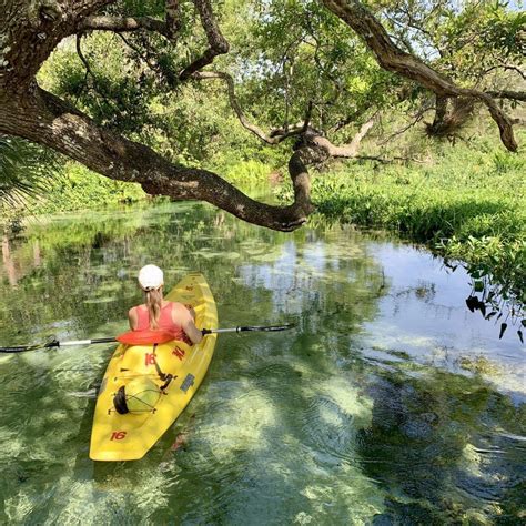 4+ Beyond Words Kayaking Florida Tours Destinations Ideas | Springs near orlando, Florida ...