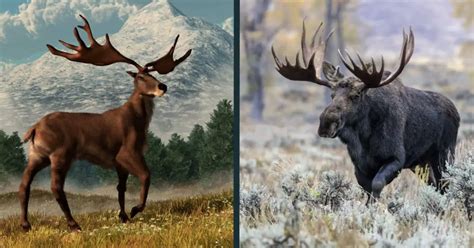 Irish Elk vs Moose Comparison (differences explained) - World Deer