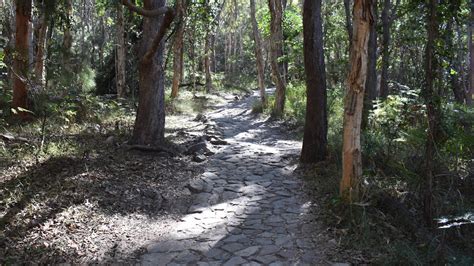 Mt-Coolum-Walking-Trail-Part-2 | Brown Signs