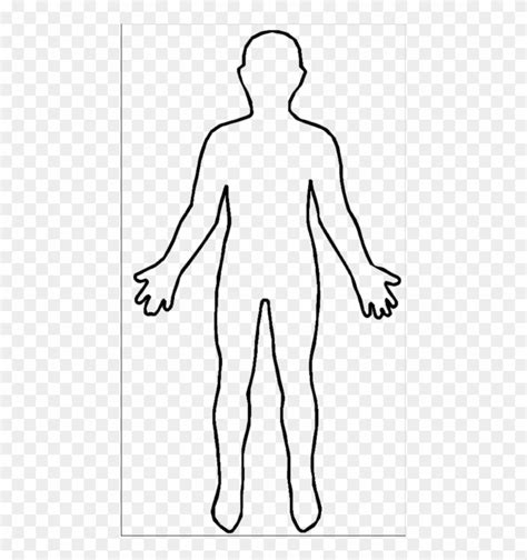 body clipart outline 10 free Cliparts | Download images on Clipground 2024