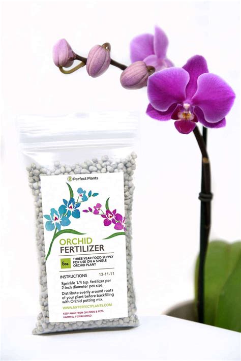 Orchid Food & Fertilizer | Perfect Plants