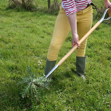 Garden SpeedWeed | Haxnicks