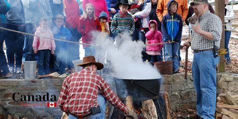 Best Maple Festivals & Events In Ontario: Top Maple Events