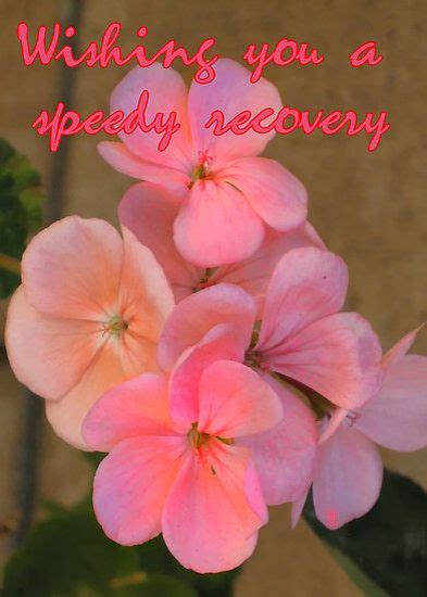 Speedy Recovery | Flowers, Speedy, Rose