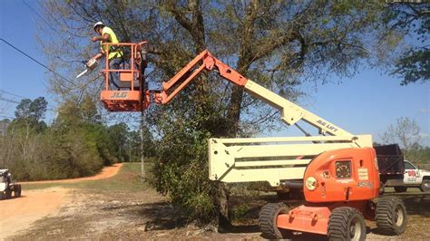 At DN Bobcat Services, Inc. We are your Navarre Tree Trimming Services ...