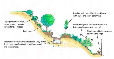 orchard sketch | Good Life Permaculture