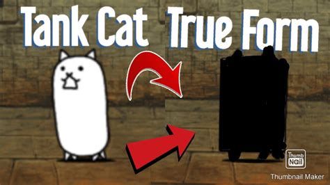 Tank Cat True Form | Battle Cats Evolutions - YouTube