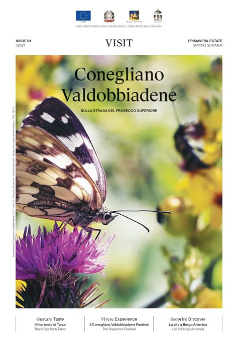 Visit Conegliano Valdobbiadene - Prosecco.it — Conegliano Valdobbiadene