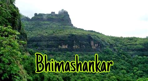 Sumeru Trekkers Overnight Trek To Bhimashankar On 14-15 Sept 19 (Via Ladder Route)