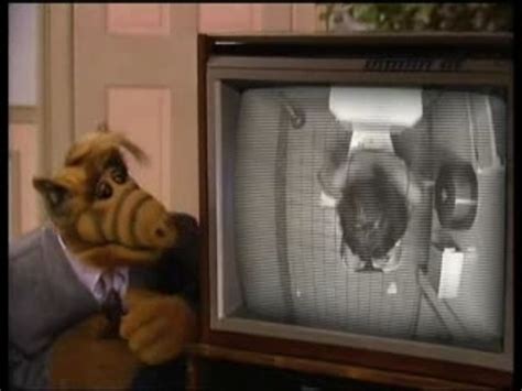 Alf The Animated Series Intro - Animal Services