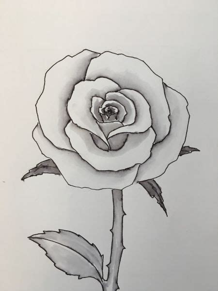 How to draw a rose. | Easy flower drawings, Roses drawing, Rose sketch