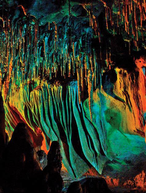 Florida Caverns State Park - Tallahassee Magazine