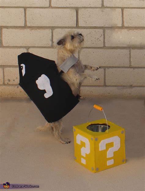 Bullet Bill Dog's Costume | How-to Guide - Photo 2/6