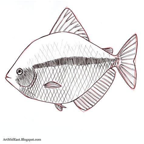 How to Draw a Fish: Step by step | Drawing Lessons