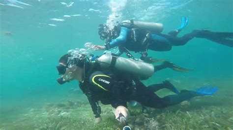 Diving Cebu Mactan | Fasci Garden