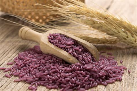 Purple Rice from Assam to hit global market soon