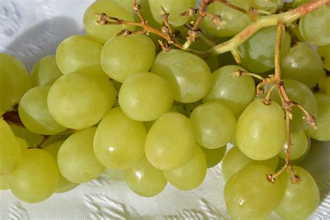 Green Grapes Free Stock Photo - Public Domain Pictures