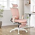 Amazon.com: Foldable Ergonomic Office Chair with Footrest, High Back ...