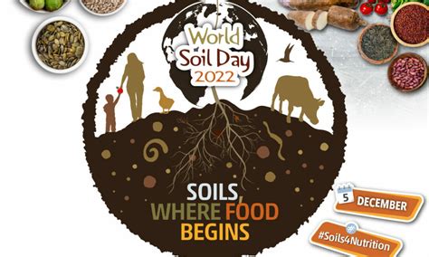 World Soil Day 2022 – Geneva Environment Network