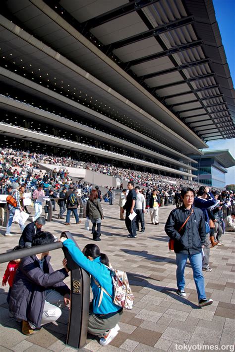 Tokyo Racecourse in pictures — Tokyo Times