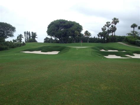 Palm Beach Country Club | Golf courses, Country clubs, Sports clubs