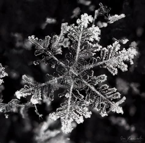 Stunningly Detailed Macro Photographs of Snowflakes