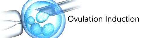 Ovulation Induction | Fertility Specialist in Thane