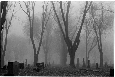 The Foggy Graveyard | Haunted graveyard, Graveyard, Foggy