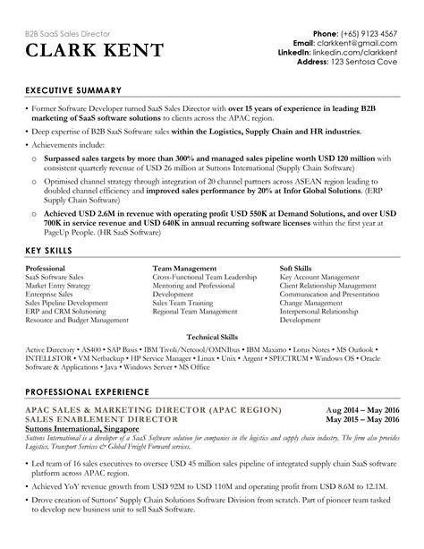 Resume Template Professional Cv Template 2023 By Resumeinventor - Riset