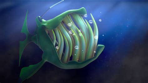 2014 Anglerfish - Animation Luzern Wiki