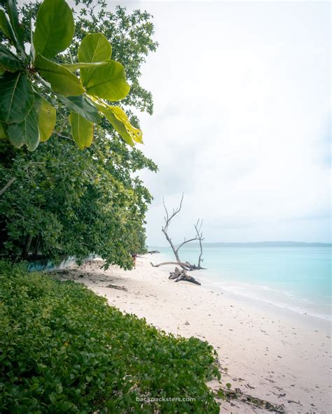 Exploring beautiful Havelock Island, Andaman - The Backpacksters