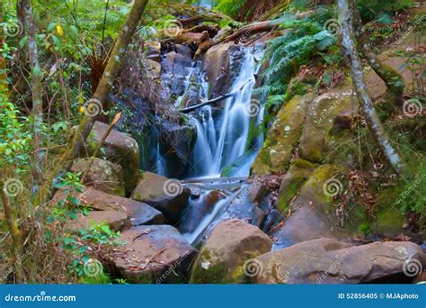 Waterfall In The Dandenong Ranges Royalty-Free Stock Photography ...