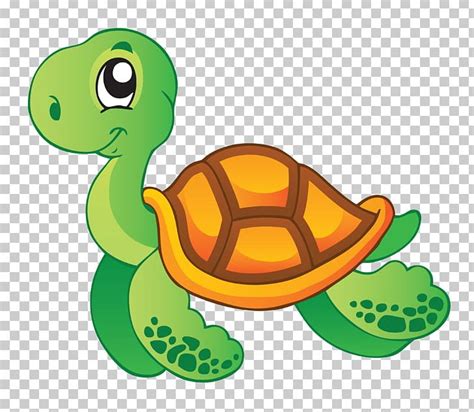 Sea Turtle Aquatic Animal PNG, Clipart, Animal, Animals, Aquatic Animal, Clip Art, Fish Free PNG ...