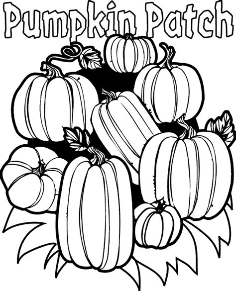 Free Pumpkin Line Art, Download Free Pumpkin Line Art png images, Free ...