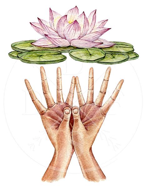 Watercolor Lotus Mudra Padma Mudra Yoga Flower Hands | Etsy