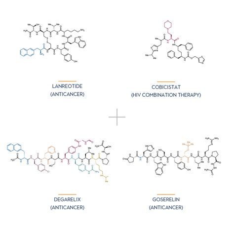 Peptide Therapeutics - The Bloom Group