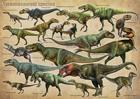 Category:Tyrannosaurs | Dinopedia | FANDOM powered by Wikia