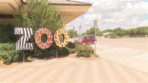 Abilene Zoo animals announce ‘Zoo Year’s Resolutions’ | KTAB ...