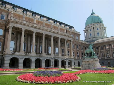 Budapest Castle Hill: A Guide to the Top Attractions - Ferreting Out the Fun