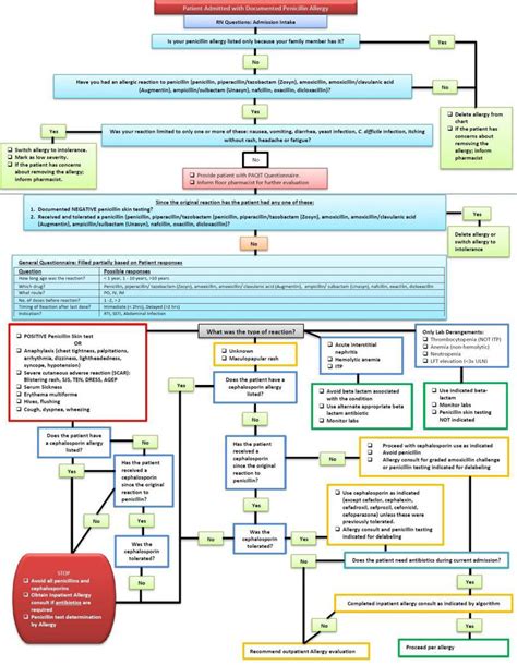 Penicillin allergy delabeling algorithm | Download Scientific Diagram