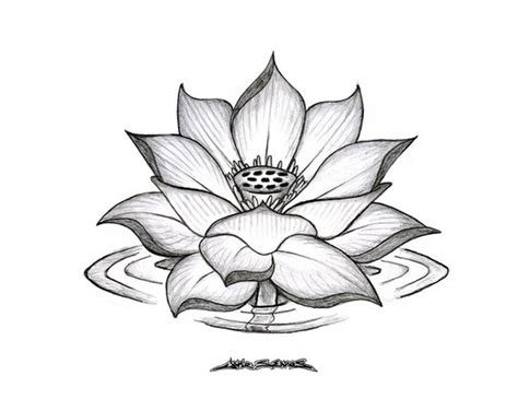 Japanese Lotus Flower Drawing at GetDrawings | Free download