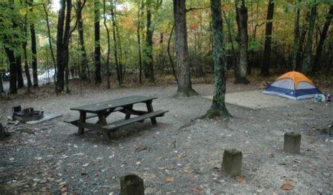 This Amazing North Carolina Campground Is The Perfect Place To Pitch Your Tent | State parks ...