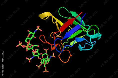 Fibroblast, the most common cell of connective tissue in animals Stock Illustration | Adobe Stock