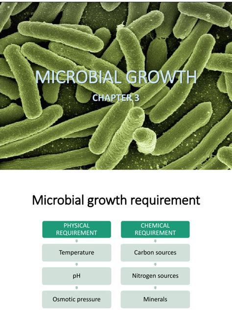 Chapter 3.1 | PDF | Growth Medium | Bacteria