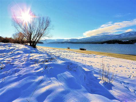 Snowy Beach, Sunny Day Photograph by Holly Gorst