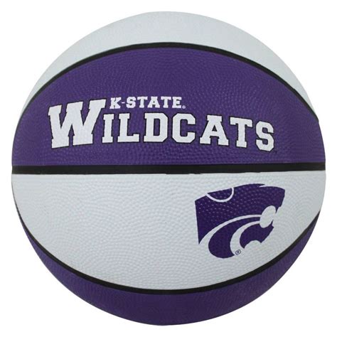 Buy Wilson 28.5'' Evolution Game Basketball – Royal