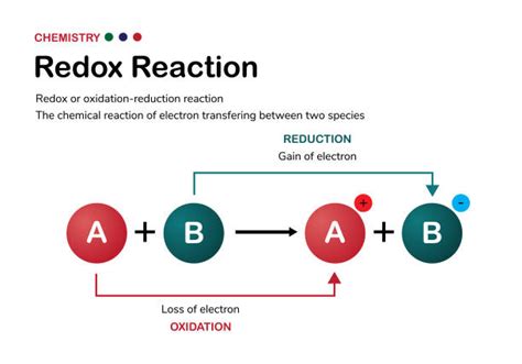 Redox Reaction Stock Photos, Pictures & Royalty-Free Images - iStock